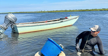 Local L.I. Baymen Feature