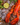 Fresh Seafood