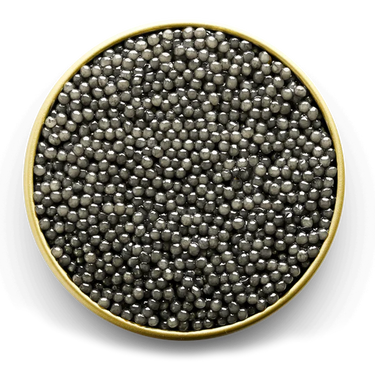 Caviar