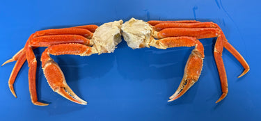 Snow Crab (Lb)