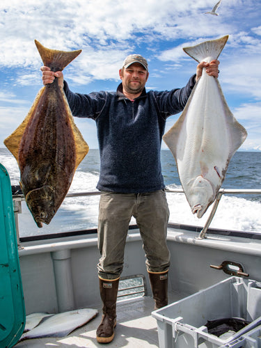 Halibut