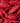 Crawfish