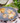 Clam Juice