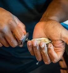 The Oyster Lover's Mobile Raw Bar