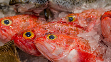Orange Roughy (Lb)