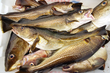 Cod Frozen (Lb)