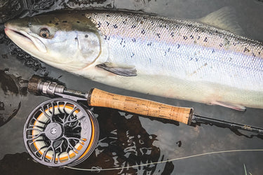 Smoked Salmon (Lb)