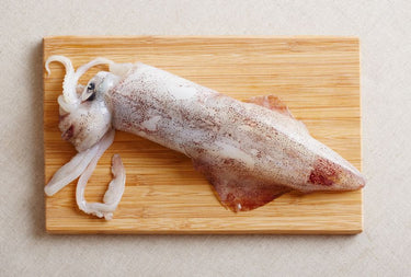 Montauk Whole Squid Calamari